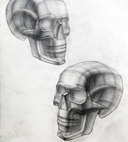 Рисование черепа на наших занятиях